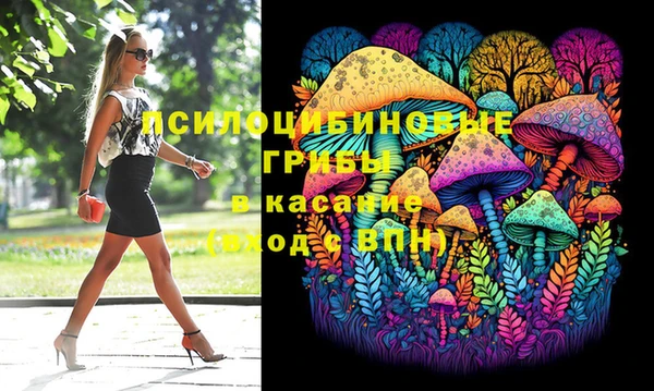 дурь Володарск