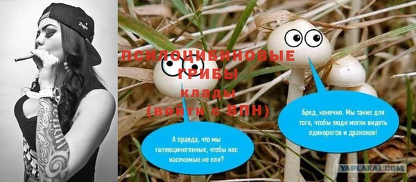 стафф Волоколамск
