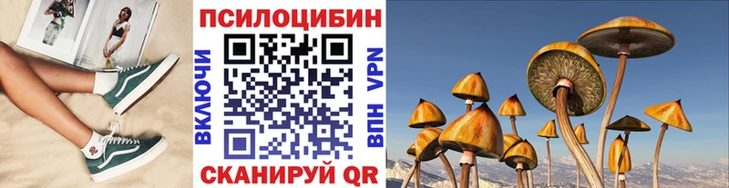 Псилоцибиновые грибы GOLDEN TEACHER  блэк спрут рабочий сайт  Качканар 